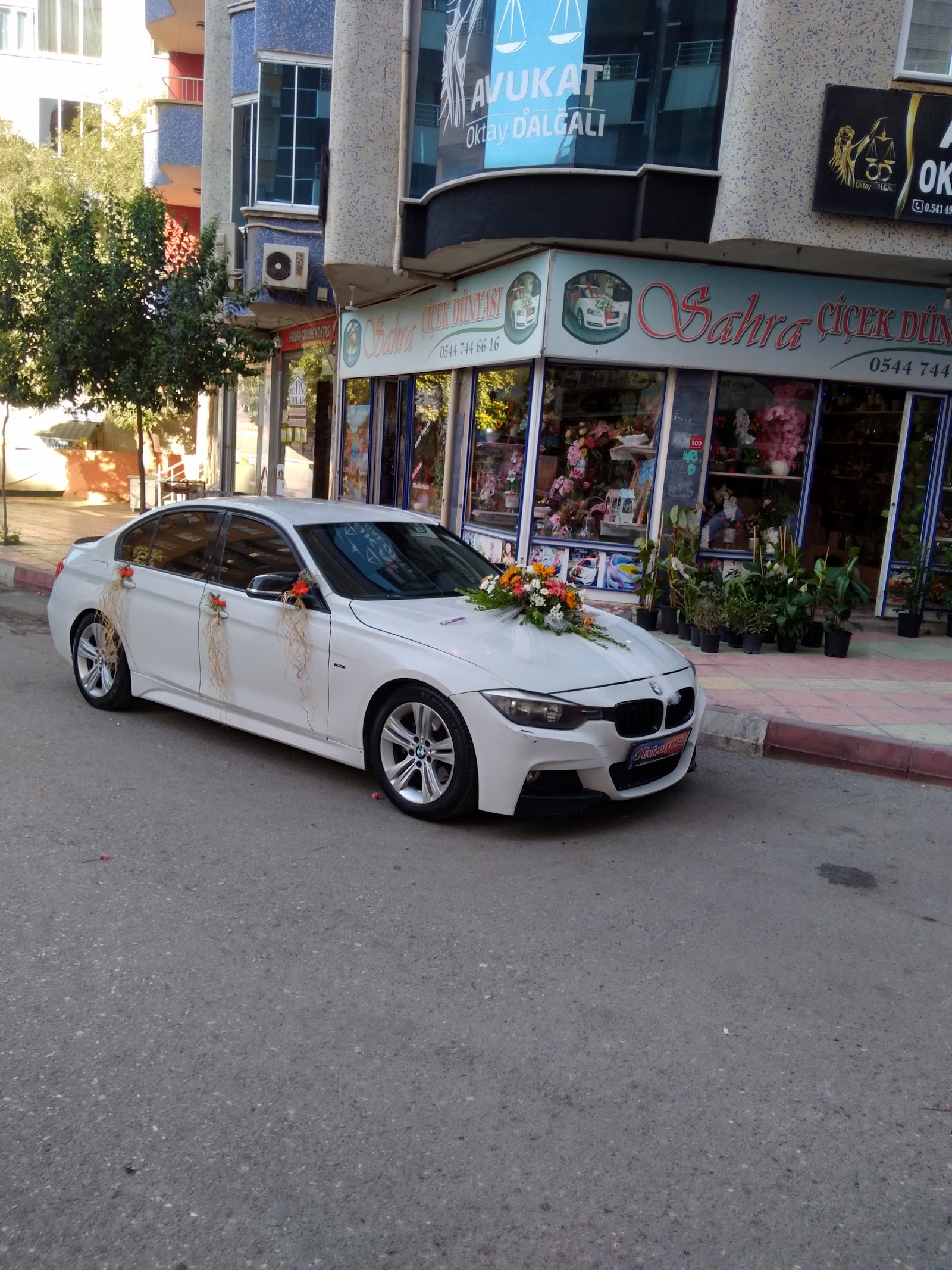 SİİRT SAHRA ÇİÇEK DÜNYASI