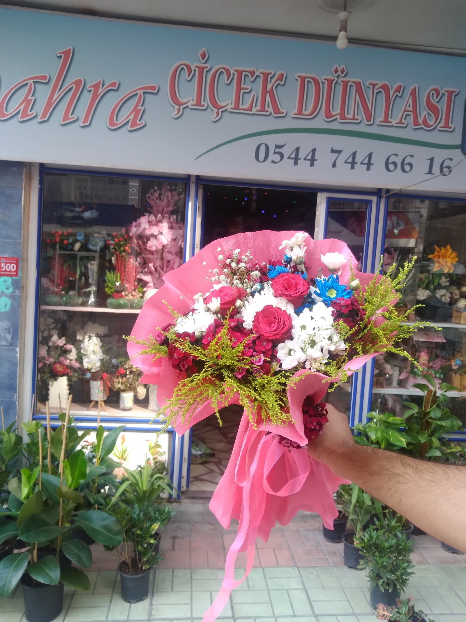 SİİRT SAHRA ÇİÇEK DÜNYASI