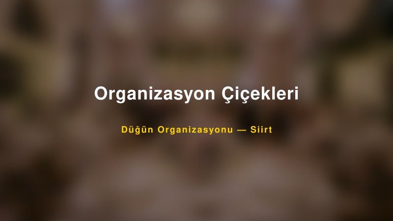 Organizasyon Çiçekleri — Siirt Kır Düğünü Mekanı Rehberi