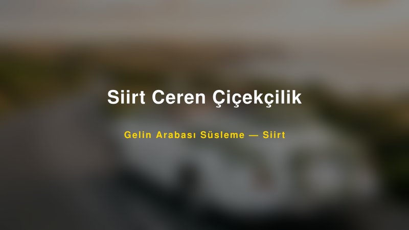 Siirt Ceren Çiçekçilik Siirt Gelin Arabası Süsleme