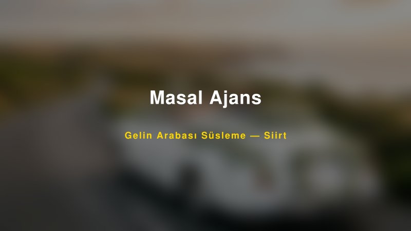 Masal Ajans Siirt Gelin Arabası Süsleme