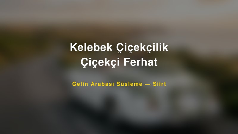 Kelebek Çiçekçilik Çiçekçi Ferhat Siirt Gelin Arabası Süsleme