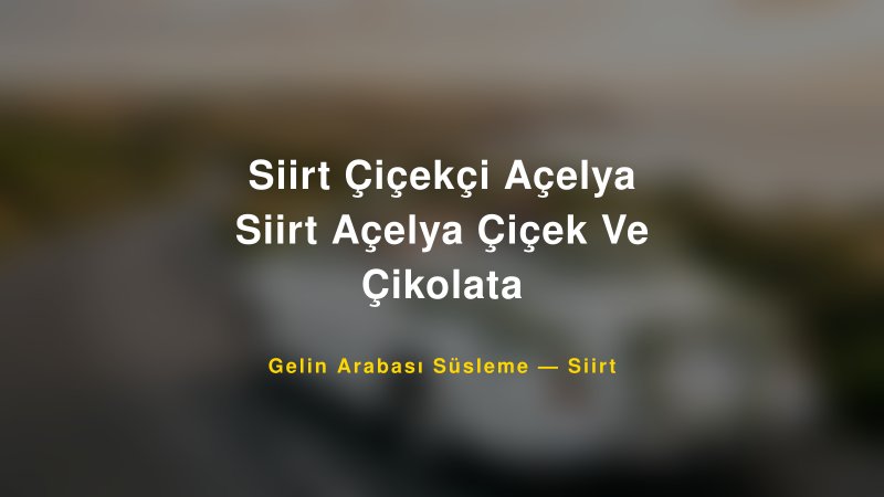 Siirt Çiçekçi Açelya Siirt Açelya Çiçek Ve Çikolata Gelin Arabası Süsleme Fiyatları — 1