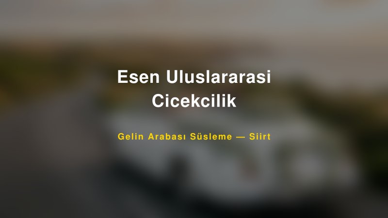 Esen Uluslararasi Cicekcilik Gelin Arabası Süsleme Fiyatları — 1